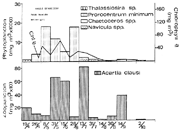 Fig 7