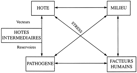 Figure. 3