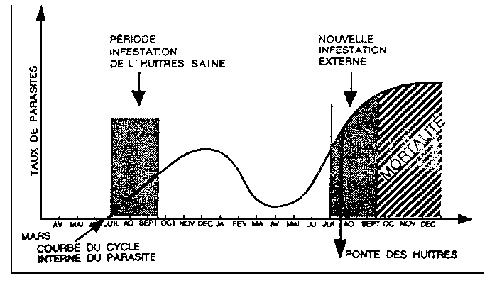 Figure. 4