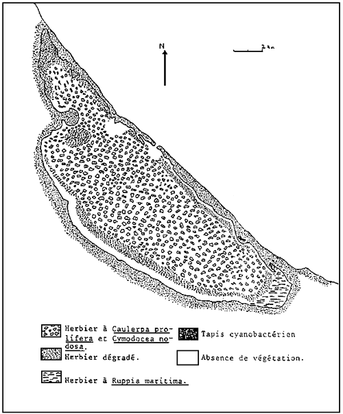 Fig. 16