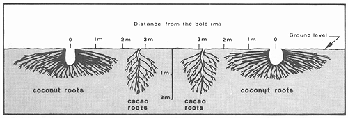 Figure 5b