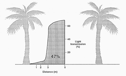 Figure 31