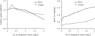 Arsenic contamination of irrigation water, soil and crops in Bangladesh: Risk implications for sustainable agriculture and food safety in Asia