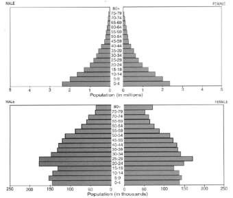 Management of Tropical
Sandy Soils for Sustainable
Agriculture