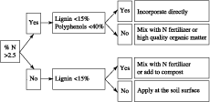 Mangement of Tropical Sandy Soil for Sustainable Agriculture