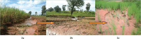 Management of Tropical
Sandy Soils for Sustainable
Agriculture
