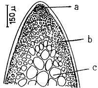 Figure 1.2