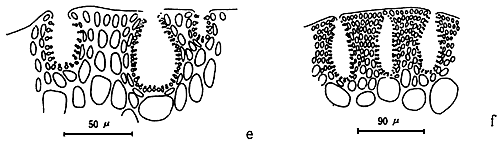 Figure 2.1