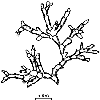 Figure 4B