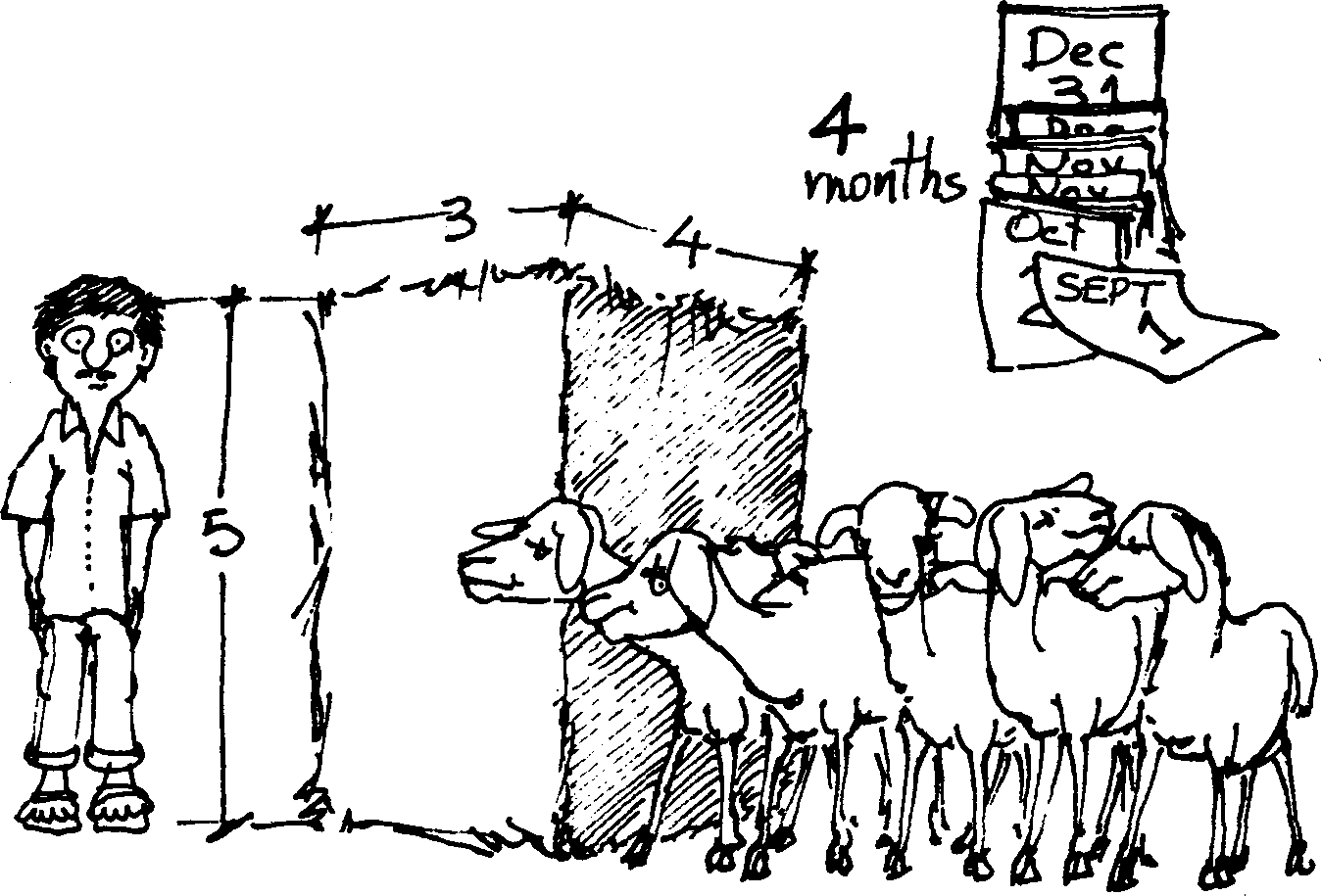SELF-TEACHING MANUAL IN HAIR SHEEP PRODUCTION