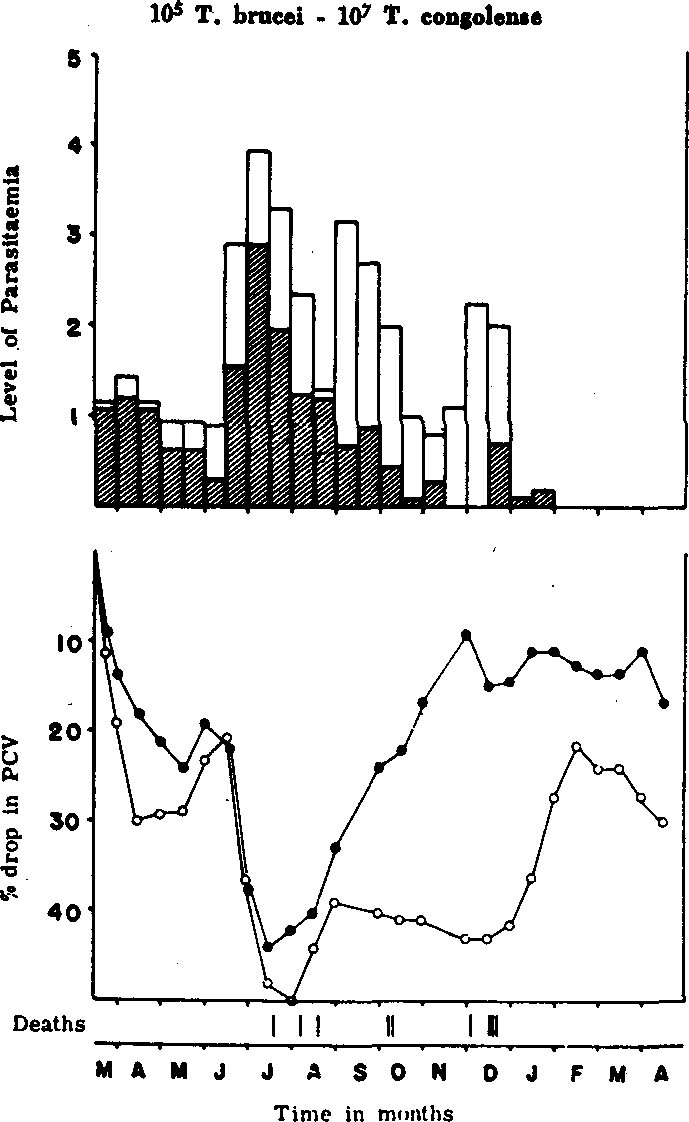 African Animal Trypanosomiasis Selected Articles from the World Animal Review