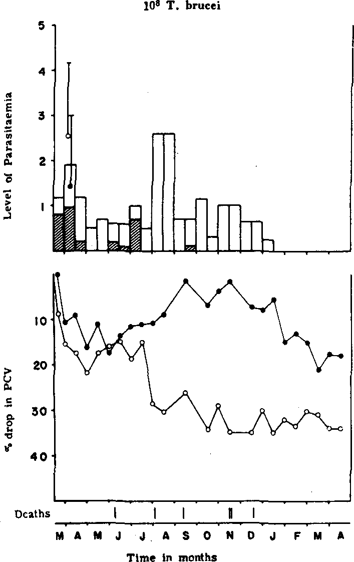 African Animal Trypanosomiasis Selected Articles from the World Animal Review