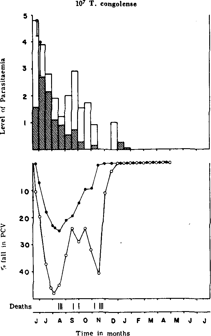 African Animal Trypanosomiasis Selected Articles from the World Animal Review