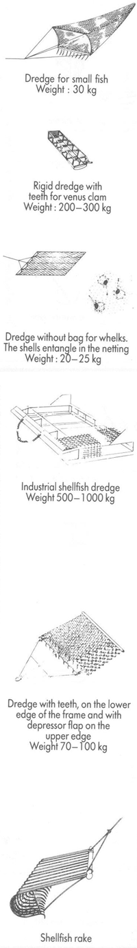 FISHERMAN'S WORKBOOK