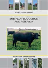 Buffalo production and research