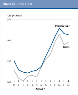 Food Outlook