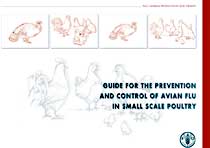 Guide for the prevention and control of avian flu in small scale poultry