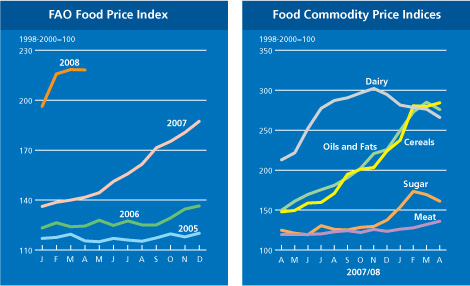 Food Outlook