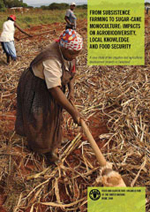 From subsistence farming to sugar-cane monoculture: impacts on agrobiodiversity, local knowledge
and food security