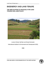 BIOENERGY AND LAND TENURE