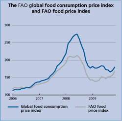 food outlook preview