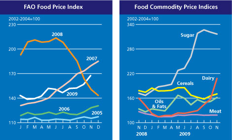 food outlook preview