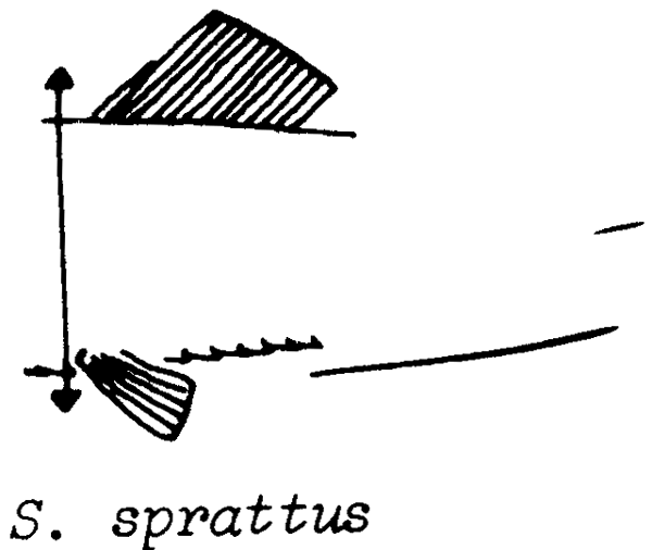 Fig 2.5(b)