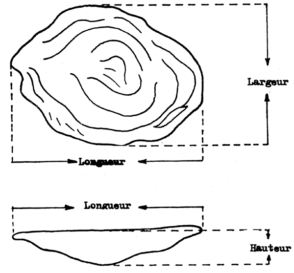 Fig. 3.1