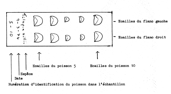 Fig. 4.6