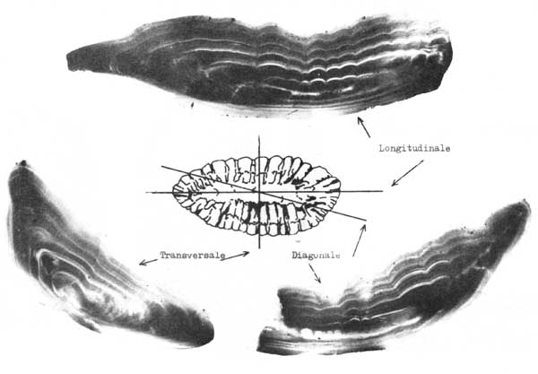 Fig. 4.9