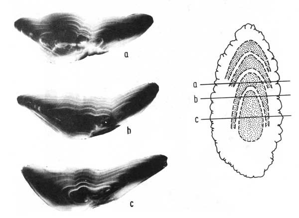 Fig. 4.11