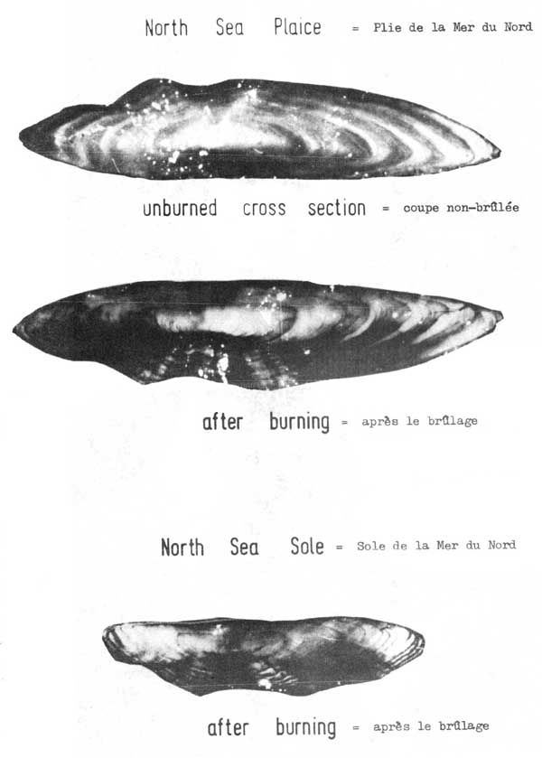 Fig. 4.13