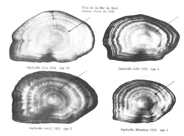 Fig. 4.14