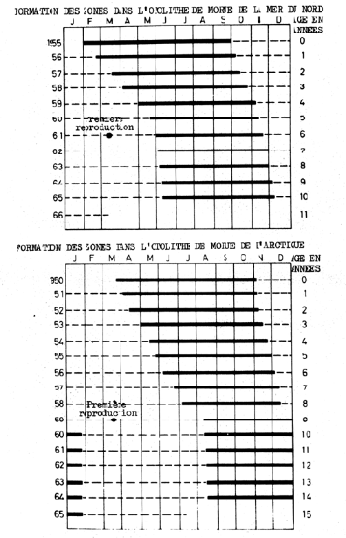 Fig. 4.18