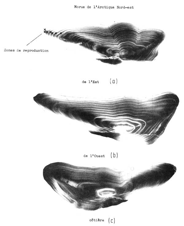 Fig. 4.22