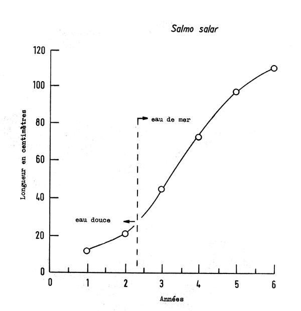 Fig. 4.23