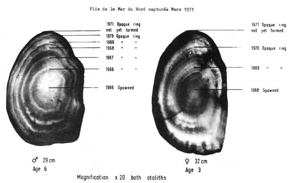 Fig. 4.24