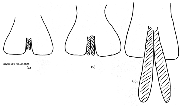 Fig. 5.3