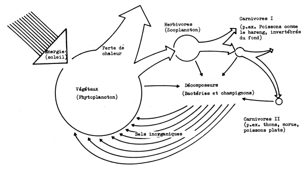 Fig. 6.2