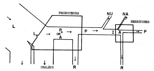 Fig. 6.3