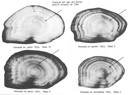 Fig. 4.14