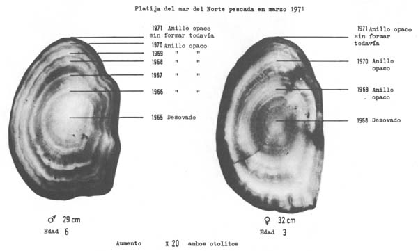 Fig. 4.24