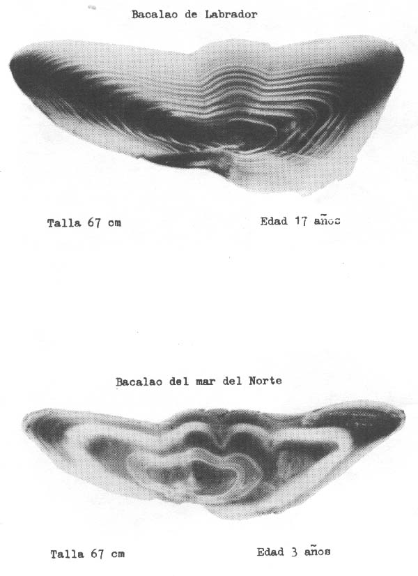 Fig. 4.25