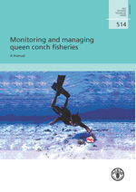 Monitoring and managing queen conch fisheries