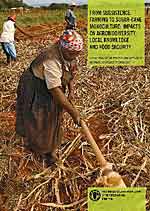 From subsistence farming to sugar-canemonoculture: impacts on agrobiodiversity, local knowledge and food security