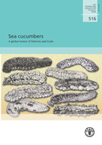 Sea cucumbers - A global review of fisheries and trade
