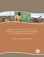 Making Sustainable Biofuels Work for Smallholder Farmers and Rural Households