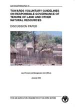 Land tenure working paper 10 - Discussion paper