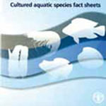 CD-ROM - Cultured Aquatic Species fact sheets (Multilingual)