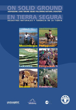 ON SOLID GROUND - Addressing land tenure issues following natural disasters; EN TIERRA SEGURA - Disastres naturales y tendencia de la tierra